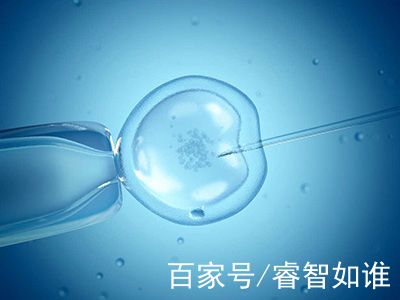 医疗团队